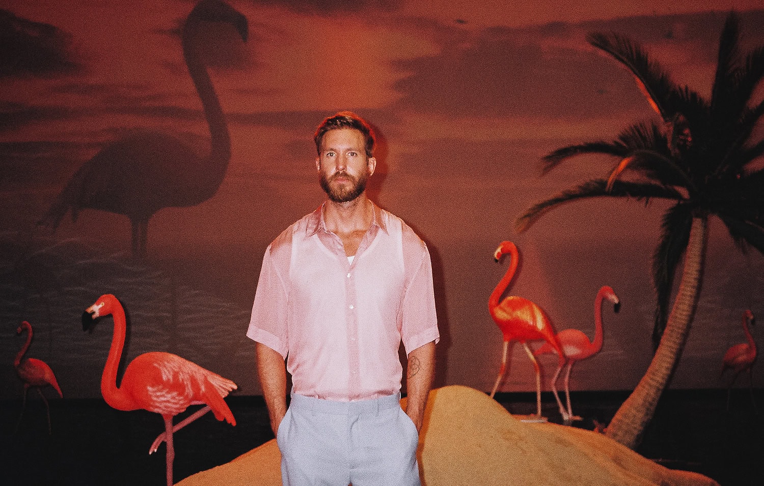 Calvin Harris 'Funk Wav Bounces Vol. 2' Review: Colorful but